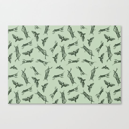 Insects Pattern Canvas Print