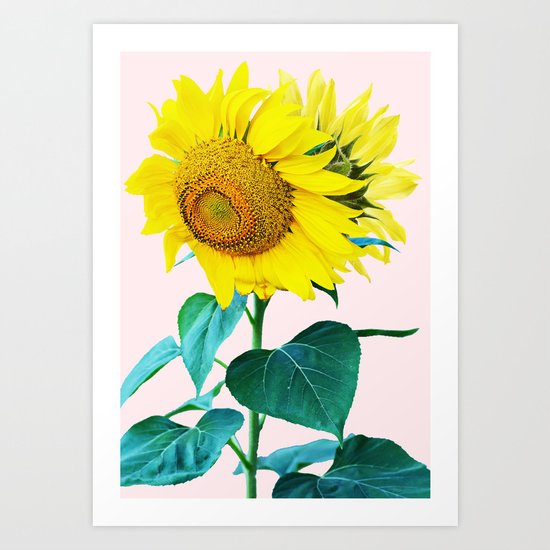 Sun Flowers #society6 #decor #buyart Art Print