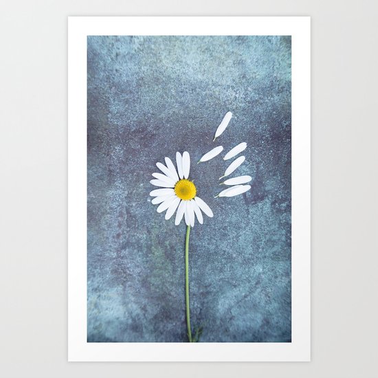 Daisy III Art Print