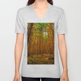 Tatry Buried Landscape Forest Poland Autumn V Neck T Shirt