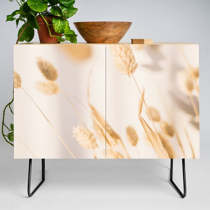 Dries Grass in Beige and White Neutral Colors - Reed Canary Phalaris Grass - Light Chic Photography Credenza