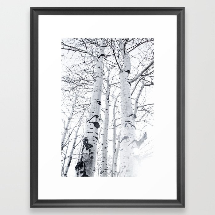 White Trees 3 Framed Art Print