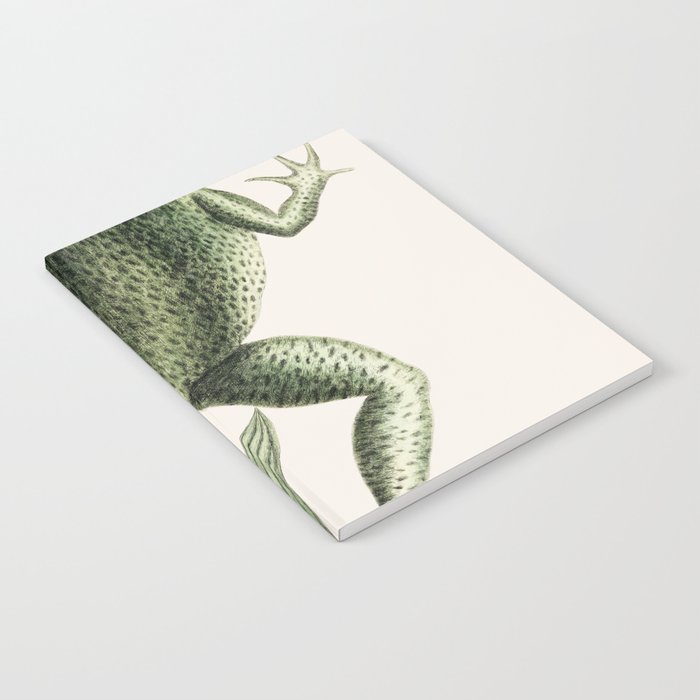 Bull Frog Notebook