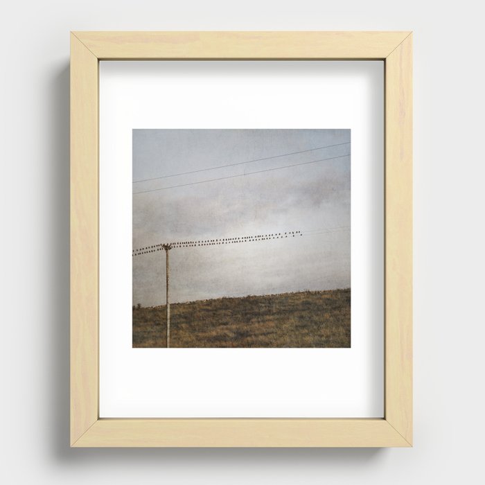 A Flock of Starlings on Telephone Wires Recessed Framed Print