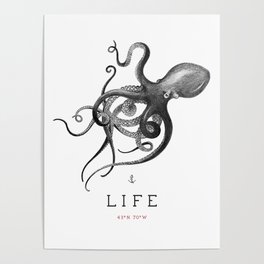 Kraken 'Life' Octopus Poster
