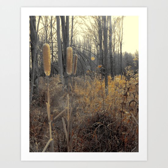 Tails Of Fall Art Print
