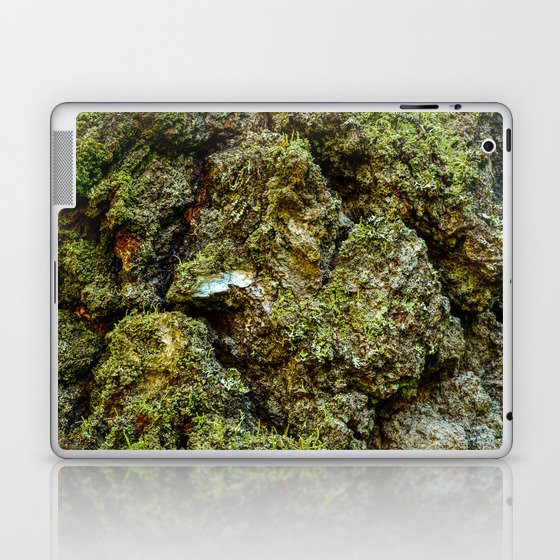 birch tree bark in moss texture Laptop & iPad Skin