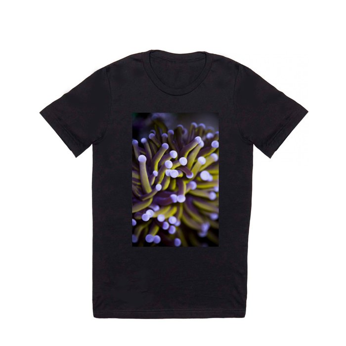 Coral Euphylia Golden Torch T Shirt