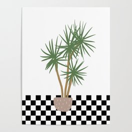 Checkerboard Floor Indoor Houseplant Yucca Palm Poster
