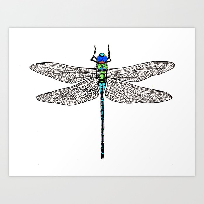 Emperor Dragonfly Art Print