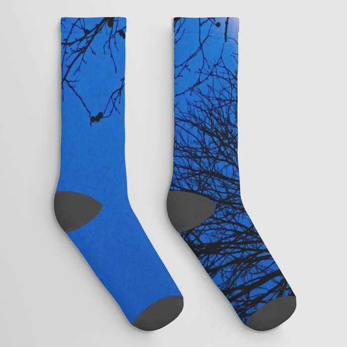 Winter Bare Trees Branches Night Moon Socks