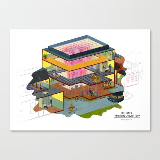 npl Canvas Print