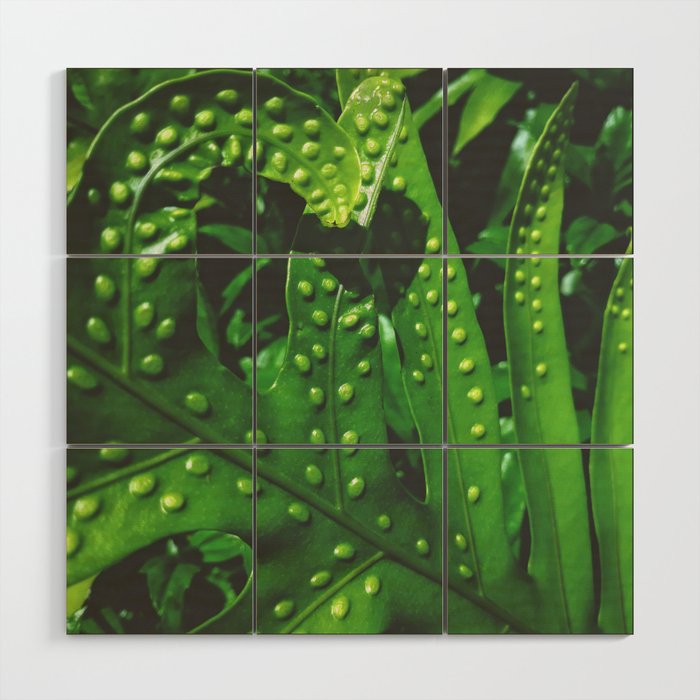 Green for Days Wood Wall Art