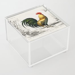 Cock Acrylic Box