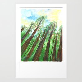 Daytime Forest (acrylic) Art Print
