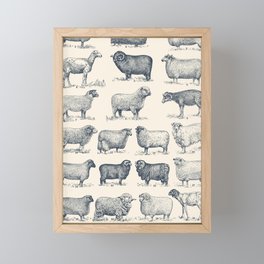 Types of Sheep Framed Mini Art Print