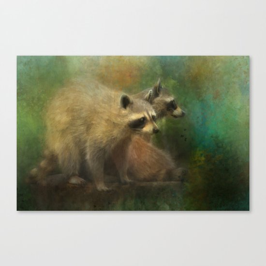 Raccoons Waiting for Nighfall Canvas Print