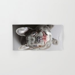 French Bulldog Hand & Bath Towel | Dog, Ff77, Foto, Photo, Animal, Hund, Follert, Dogs, Hunde, Frenchbulldog 