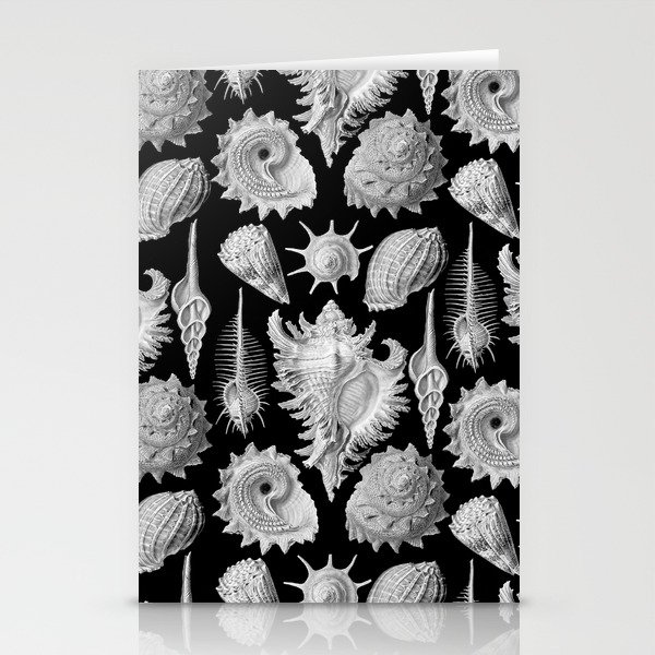 Black and White Beach Shells Stationery Cards
