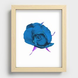 Deep blue rose Recessed Framed Print