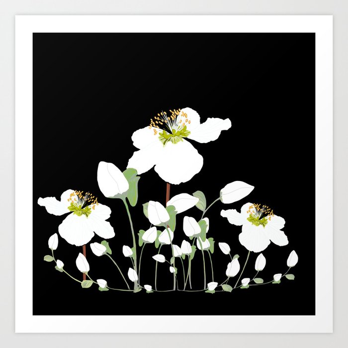 Beautiful White Flowers on Black Background - Spring mood #decor #society6 #buyart Art Print