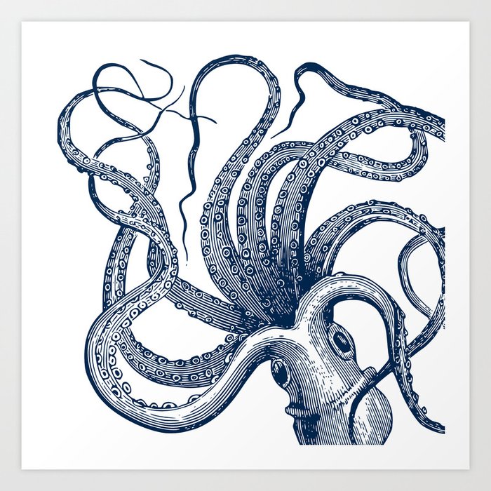Octopus Navy Art Print