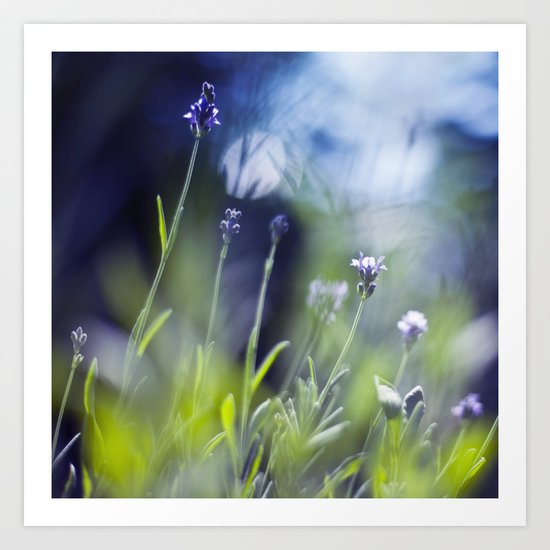 pieces of summer Art Print