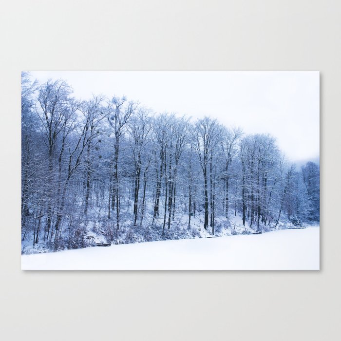 Winter Lake Canvas Print
