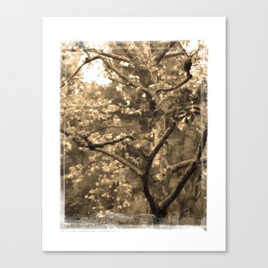 Tree of Hearts - Sepia Canvas Print