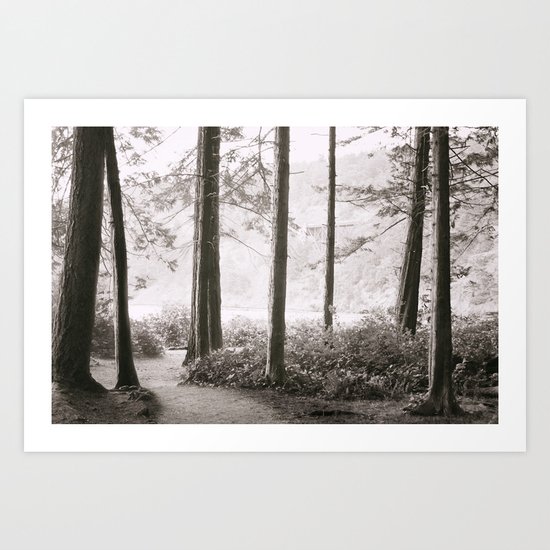 Through the Trees Art Print