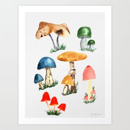 Mushrooms Art Print
