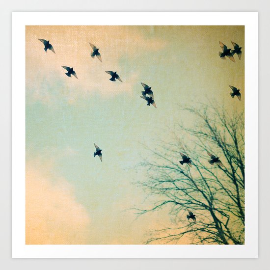 Over The Rainbow Art Print