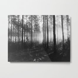 Black and White Forest Metal Print