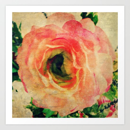 Study of a Rose Art Print