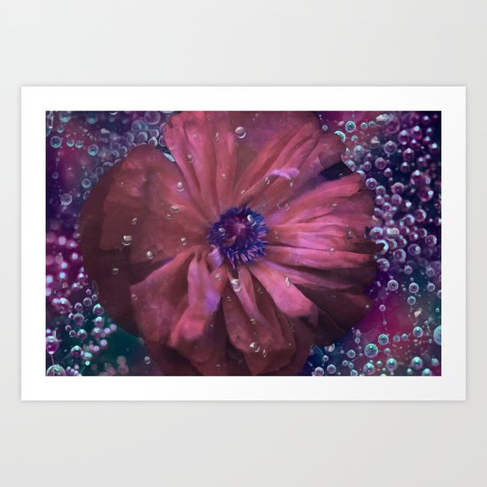 Smoky pink poppy in the dew Art Print