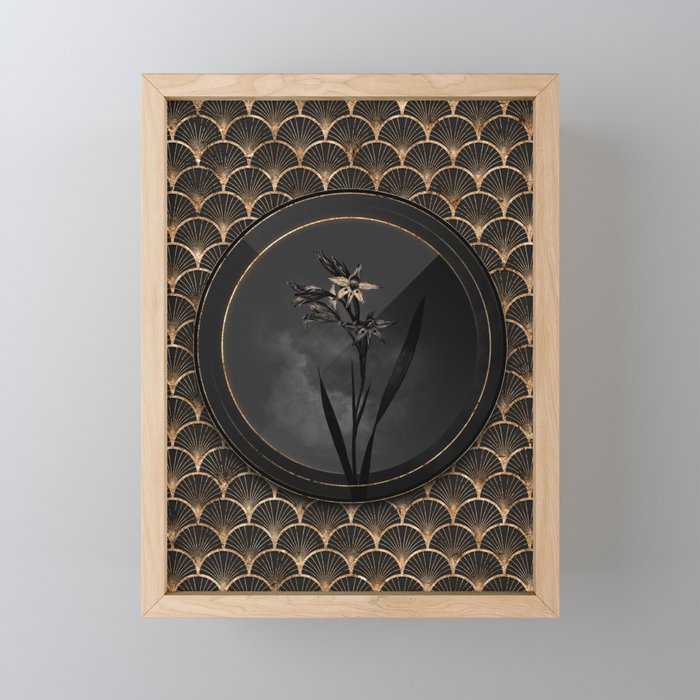 Shadowy Black Gladiolus Cuspidatus Botanical Art with Gold Art Deco Framed Mini Art Print