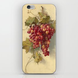 Grapes Against White Wall by Edwin Deakin iPhone Skin