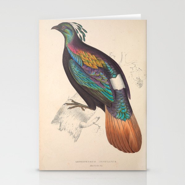 Himalayan monal by Elizabeth Gould from "A Century of Birds from the Himalaya Mountains," 1831 Stationery Cards