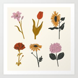 Flowers Collection Art Print