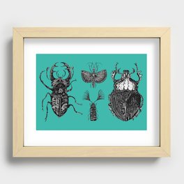 Insects Recessed Framed Print