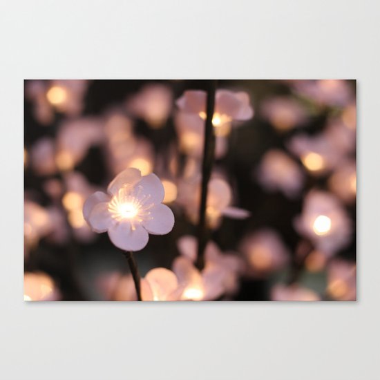 Pink lights Canvas Print