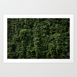 Wall Of Green Art Print