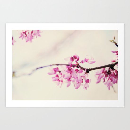 blossoms Art Print