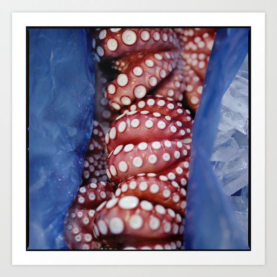 Octopus in Blue Art Print