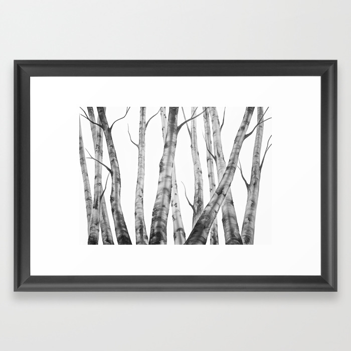 Birch Tree Watercolour Painting Black And White Black And