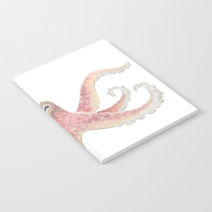 Octopus Notebook