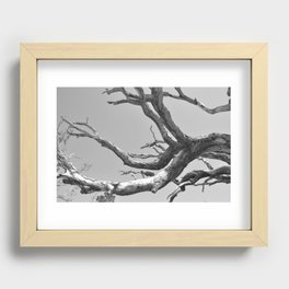 Driftwood Ladder B/W Recessed Framed Print