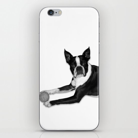 Fetch Boston Terrier B/W iPhone Skin