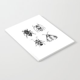 insects Notebook