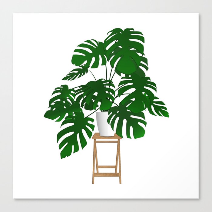 Plant Life Canvas Print